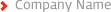 company name